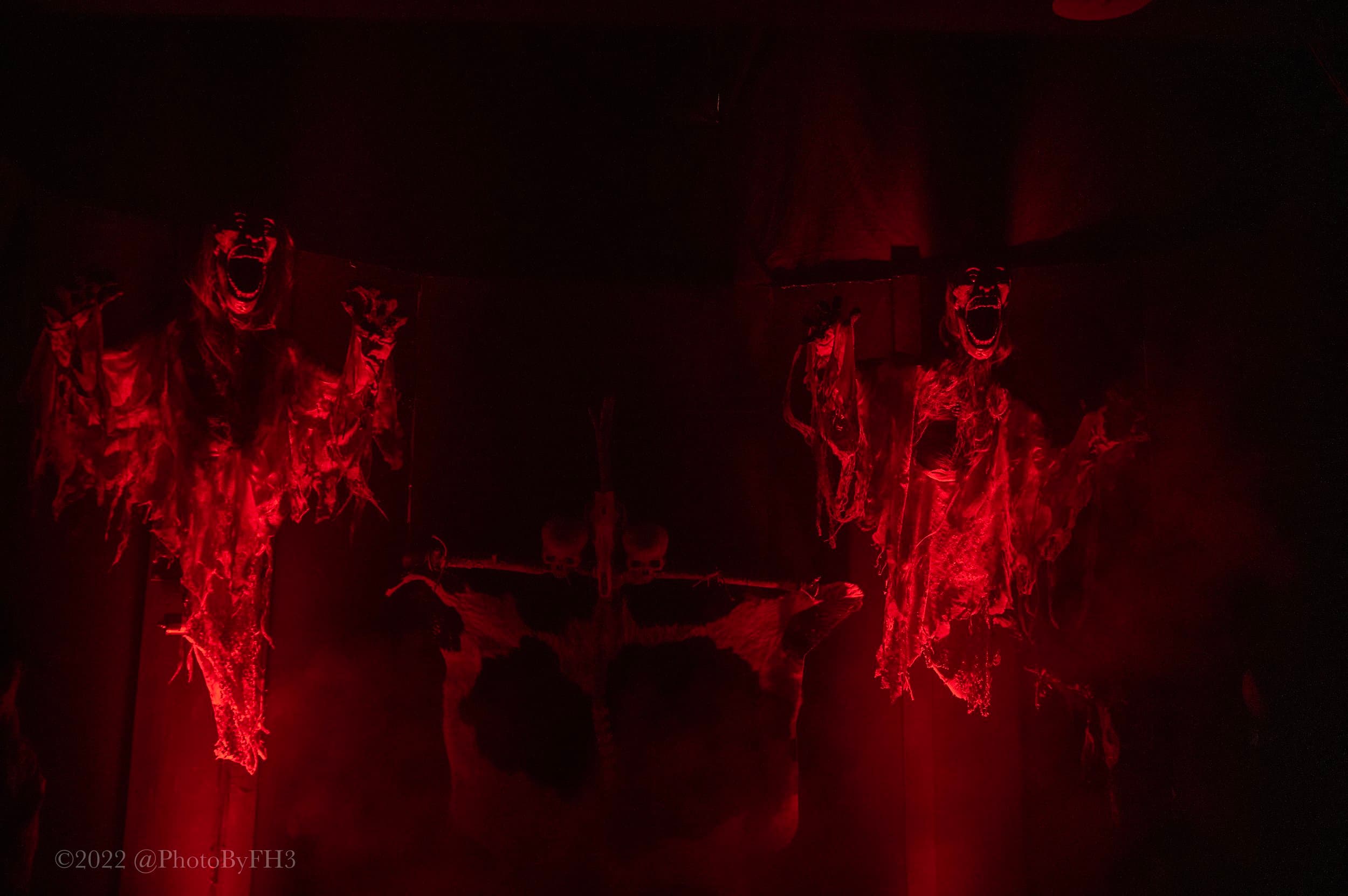 Shakesfear — photo 6