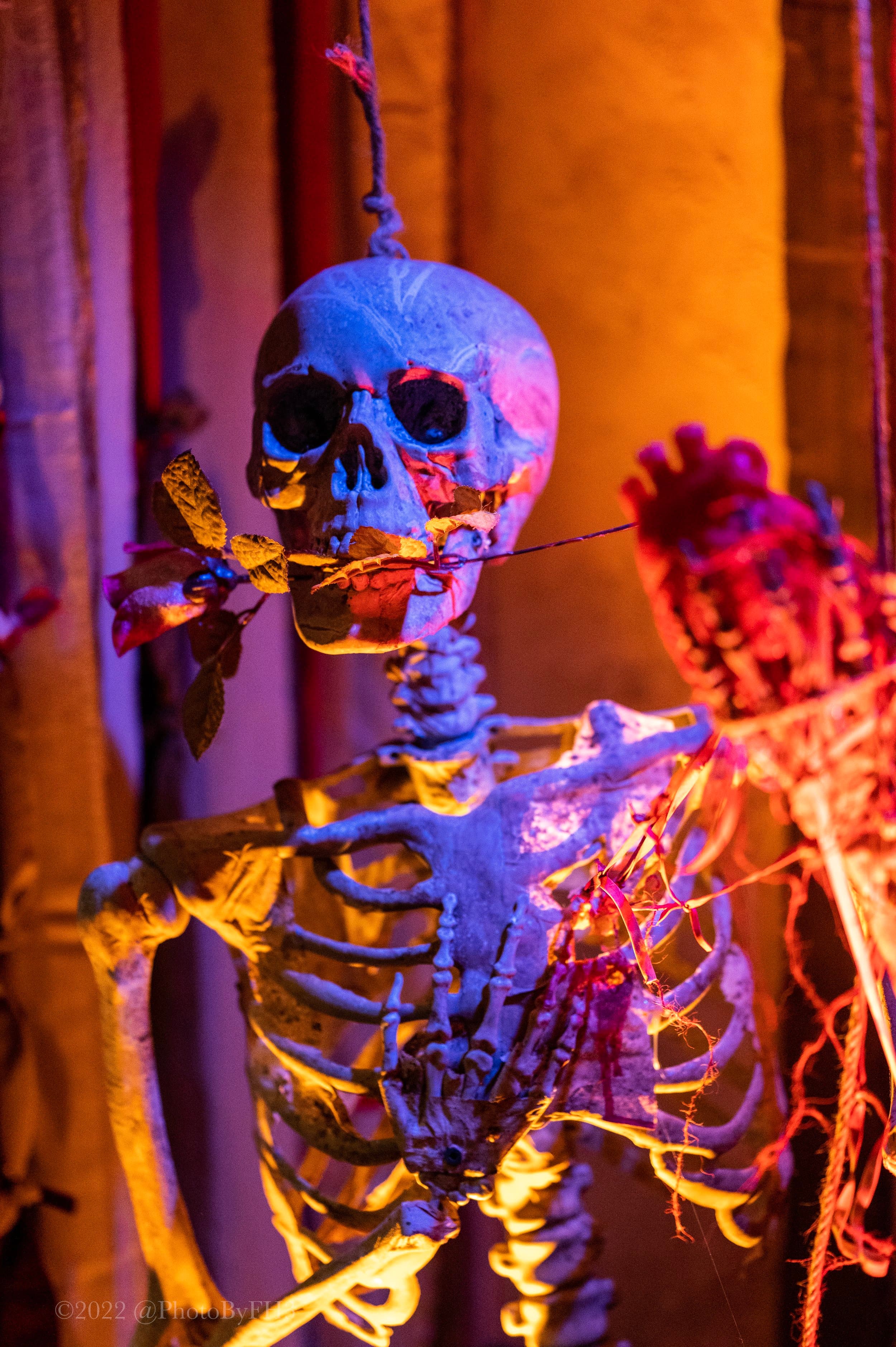 Shakesfear — photo 1