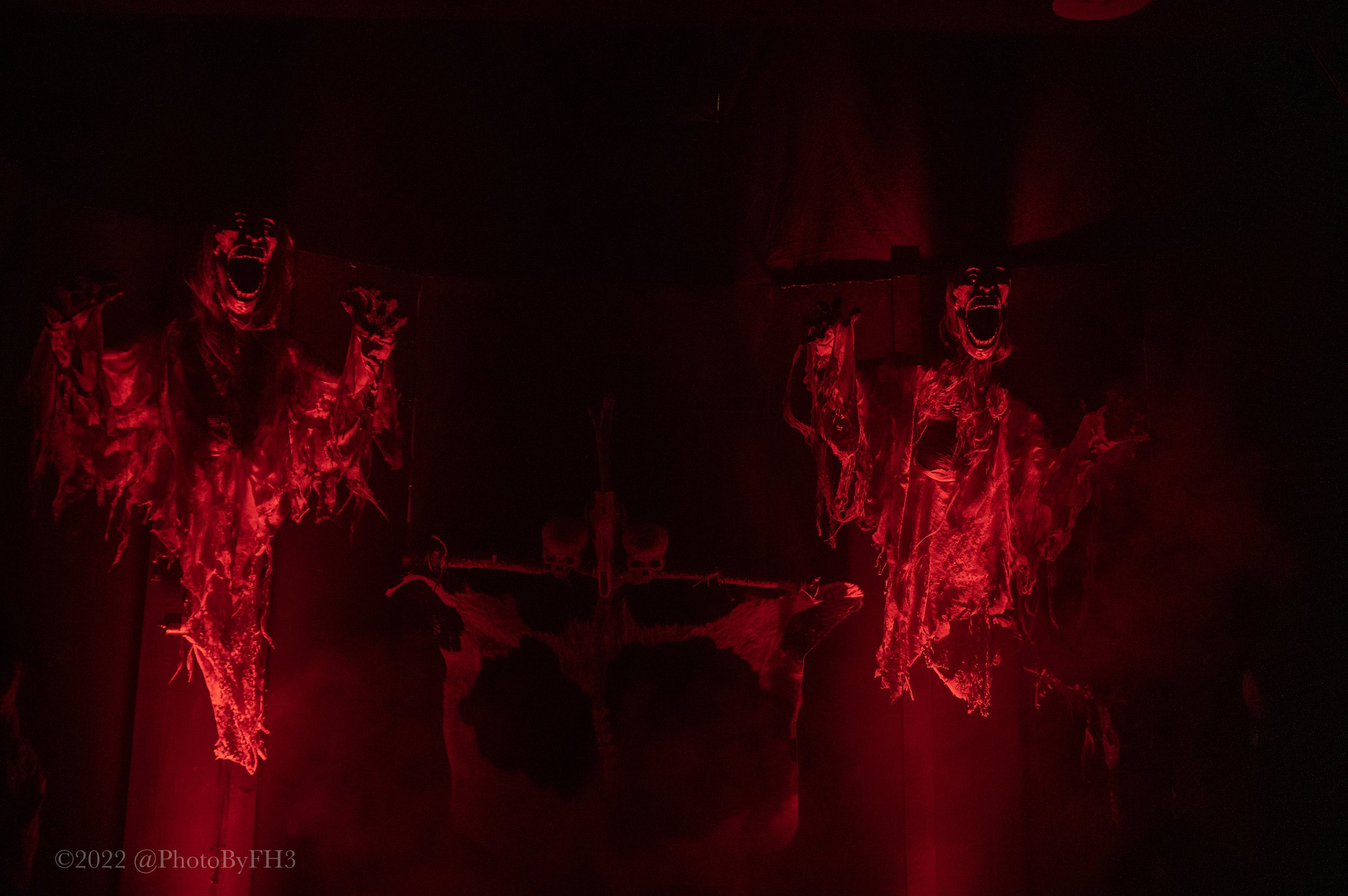 Shakesfear — photo 6