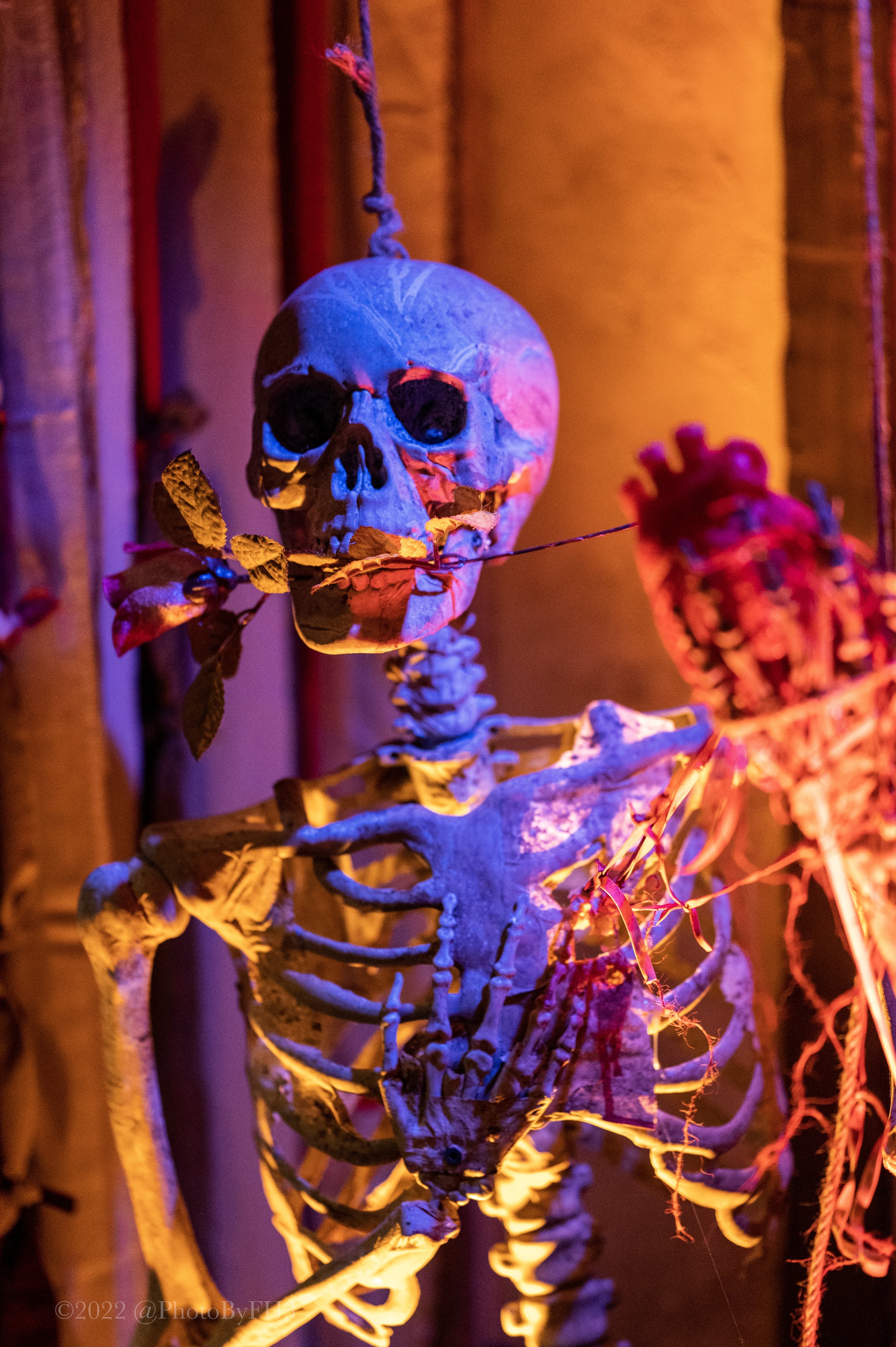 Shakesfear — photo 1